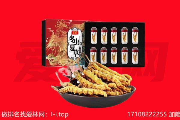 长治回收虫草.jpg